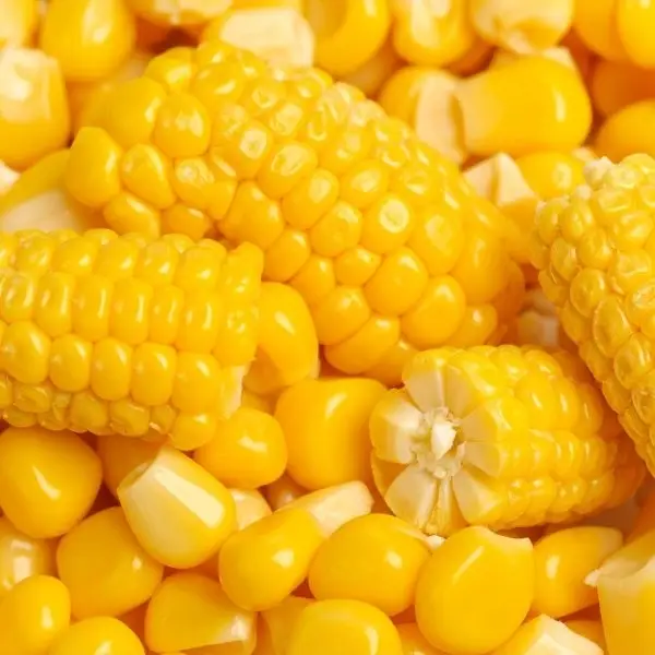 Yellow Corn