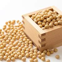 Soybean