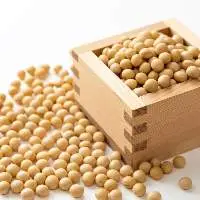 Soybean