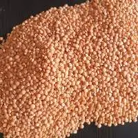 Masoor Dal (Red Lentils)