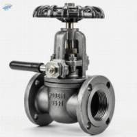 Globe Valve