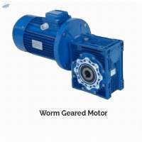Worm Geared Motor