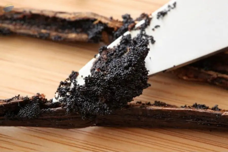 Vanilla Caviar