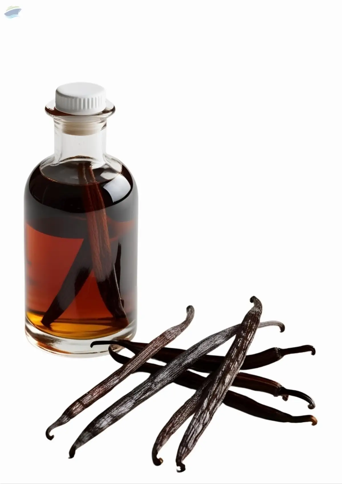 Vanilla Extract Alcohol / Non - Alcohol