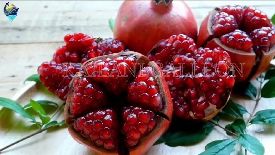 Pomegranate