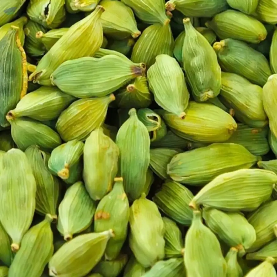 Cardamom- Green Cardamom -(Elaichi)