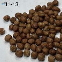 Premium Georgian Hazelnuts (11-13 mm Caliber)