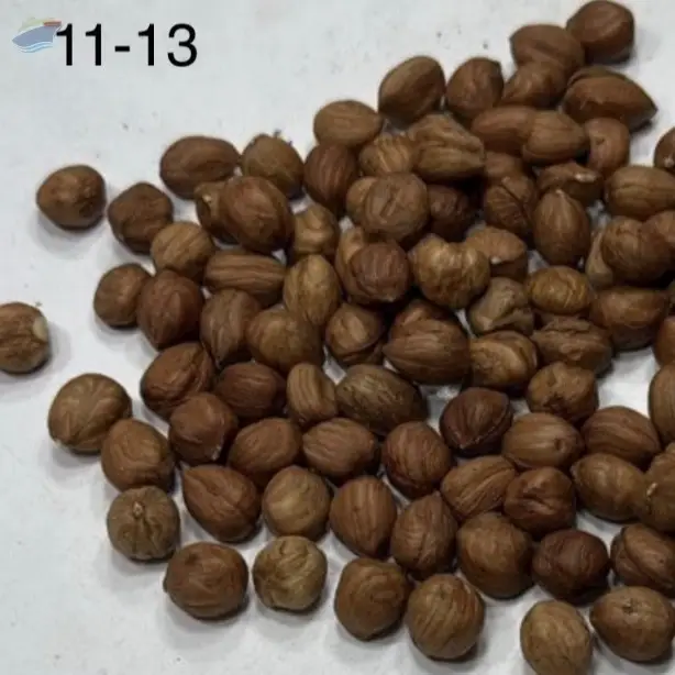 Premium Georgian Hazelnuts (11-13 mm Caliber)