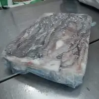 Frozen Giant Squid Tentacles (POTA)