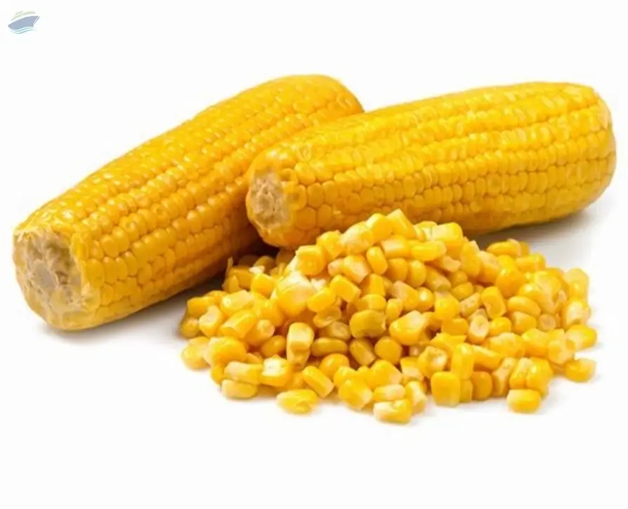 Corn