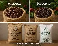 Indian Coffee Beans (Arabica & Robusta)