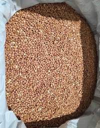 Premium Export Quality Peanut Kernels