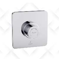 Flushing System