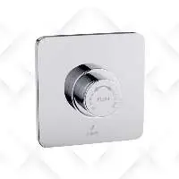 Flushing System