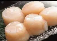 Scallops
