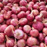 Nashik Red Onion