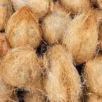 Semi Husked Coconut