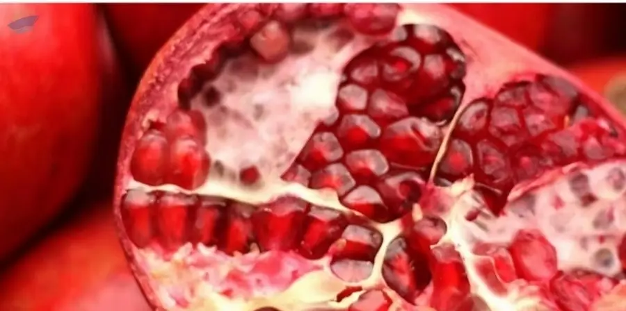 Pomegranate