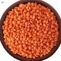 Red Lentils
