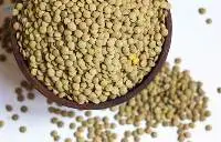 Lentils