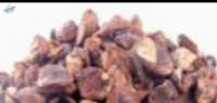 Dried Kola Nut