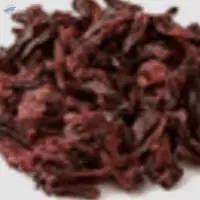 Hibiscus Flower