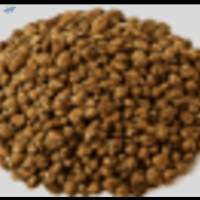 Locus Bean