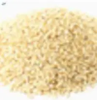 Sesame Seed