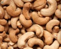 Cashew Nut