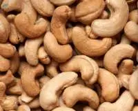 Cashew Nut