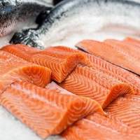 Frozen Fish