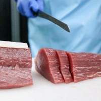 Frozen Fish