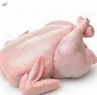 Fresh Chicken Whole Chiled