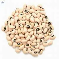 Black Eyed Beans