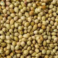 Coriander Seeds