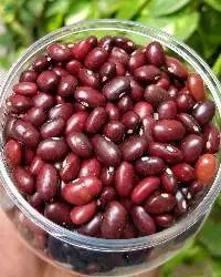 Red Kidney Beans