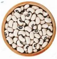 White Dried Beans