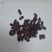 Machine Cleaned, Export Red Kidney Beans