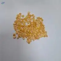 Yellow Gram