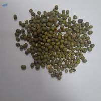 Green Mung Beans