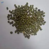 Green Mung Beans