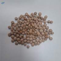 Pigeon Peas (Cajanus cajan)