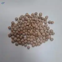 Pigeon Peas (Cajanus cajan)