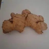 Ginger