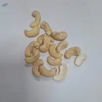 Cashew Nut Kernels