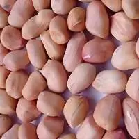 Premium Quality Export Grade Groundnuts