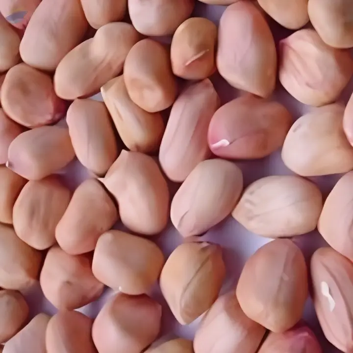 Premium Quality Export Grade Groundnuts
