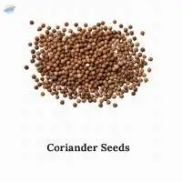 Coriander Seeds