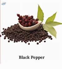 Black Pepper