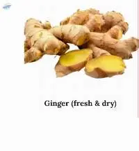 Ginger (Fresh & Dry)